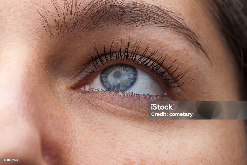 Eye The human eye macro. Eyelash Stock Photo