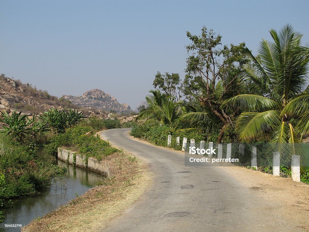 Road and coconut trees Road and coconut trees near Hampi, India. Agriculture Stock Photo
