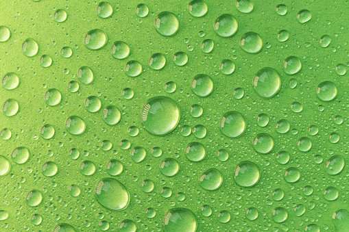 Water drops on green background. Abstract water drops texture.