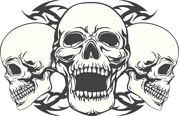 three skulls vector art illustration