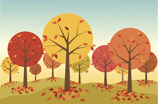 herbst wald - falling leaf tree autumn stock-grafiken, -clipart, -cartoons und -symbole