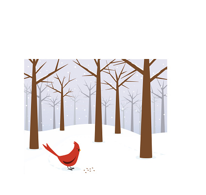 A retro styled (classic modernism) red cardinal finds sunflower seeds on the snow in a winter forest. Lucky him! Cute footprints show his path through the snowy woods.