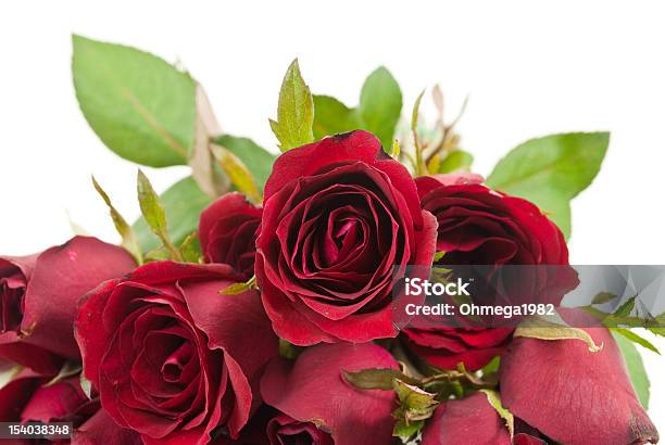Primer Plano Rosas Rojas Foto de stock y más banco de imágenes de Belleza de la naturaleza - Belleza de la naturaleza, Bulto, Buqué