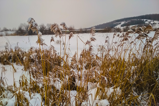 Landscape of a snow-covered meadow with a dirty shade against the backdrop of sunset