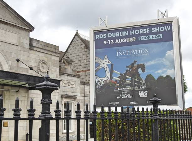 dubliner pferdeshow - republic of ireland horse irish culture riding stock-fotos und bilder