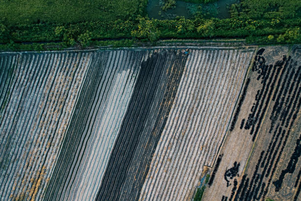 istock The soil plow is in the farmland 1540418530