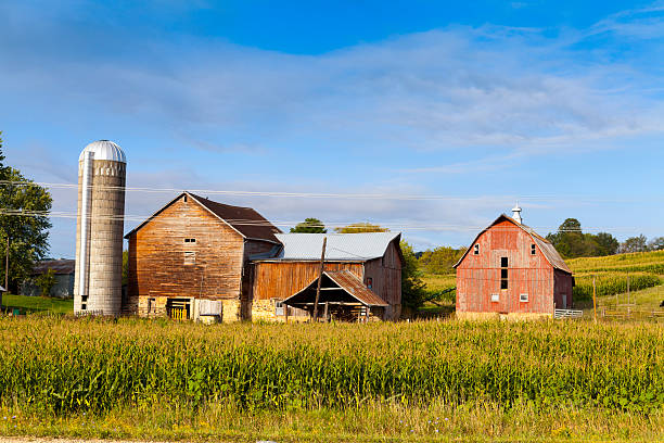 istock American Farmland 154042242