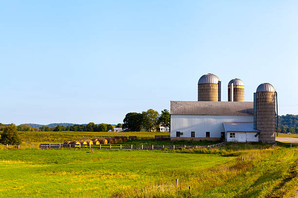 istock American Farmland 154042256
