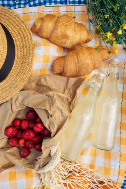 Enjoying a picnic: croissants, strawberries, lemonade on checkered blanket