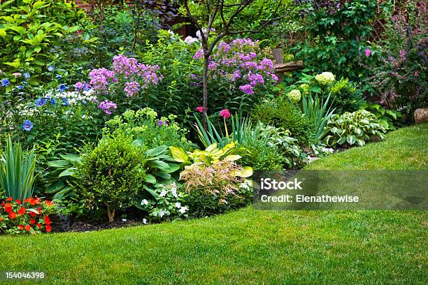 정원 및 꽃 앞마당 또는 뒷마당에 대한 스톡 사진 및 기타 이미지 - 앞마당 또는 뒷마당, 꽃-식물, 화단