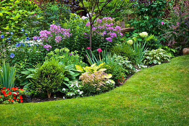 Garden and flowers Lush landscaped garden with flowerbed and colorful plants perennial stock pictures, royalty-free photos & images