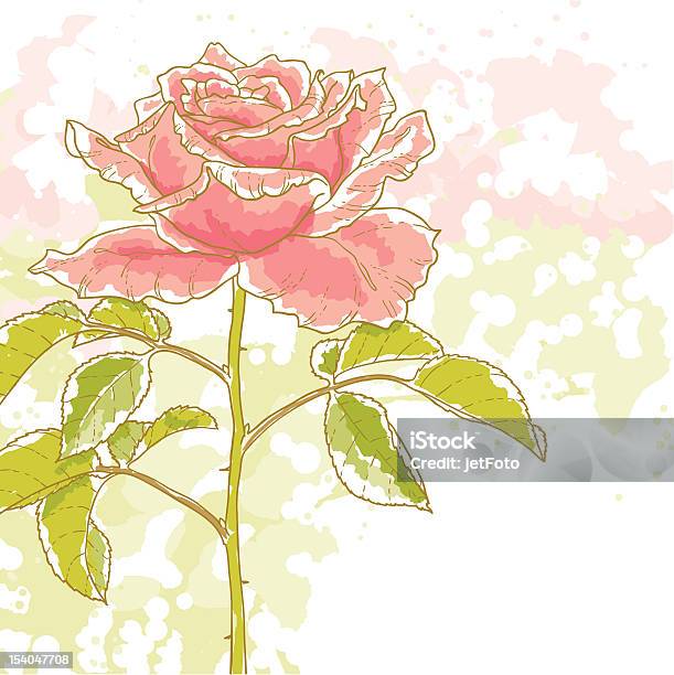 Rosa Rose Auf Weißem Hintergrund Stock Vektor Art und mehr Bilder von Altertümlich - Altertümlich, Aquarell, Blatt - Pflanzenbestandteile