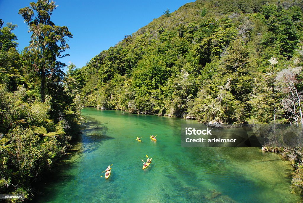 Kayaking over clear river water Kayaking on the Falls River, Abel Tasman NP, New Zealand New Zealand Stock Photo