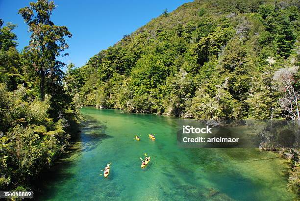 Kayaking Over Clear River Water Stock Photo - Download Image Now - New Zealand, Abel Tasman National Park, Kayaking