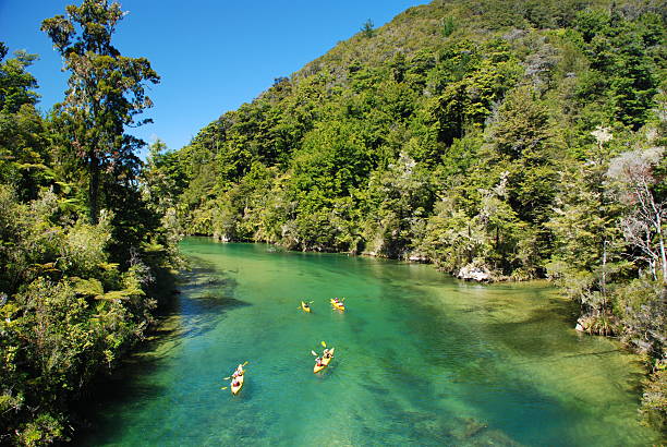 kajakarstwo wyraźnie na rzekę - abel tasman national park zdjęcia i obrazy z banku zdjęć