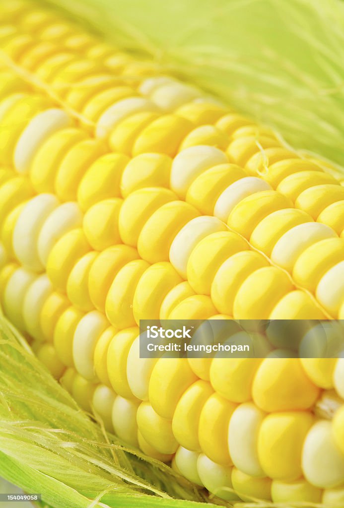 corn cob - Foto de stock de Agricultura libre de derechos