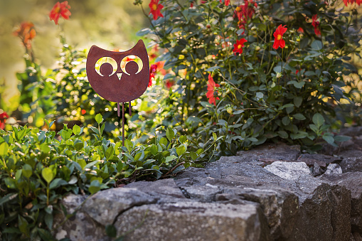 Ceramic owl bird on white background.