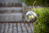 Beautiful glass terrarium