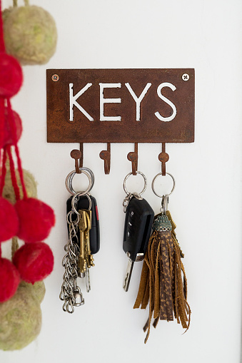 A tortoise key chain with a ring for keys isolated on white with clipping path