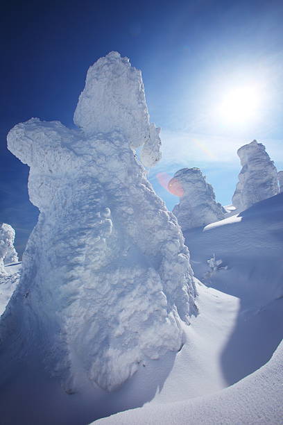 Snow monster on mount Zao, Yamagata Tohoku Japan