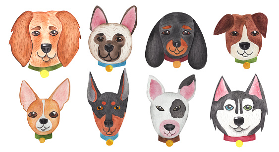 Faces of different dogs. Muzzle of funny animal isolated on white background. Watercolor illustration in cartoon style