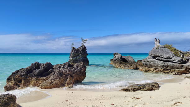 햇볕이 잘 드는 버뮤다와 그 해안선 - bermuda beach limestone rock 뉴스 사진 이미지