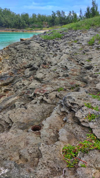 istock Whale Bone Bay on St. George's Island in Bermuda 1540586809