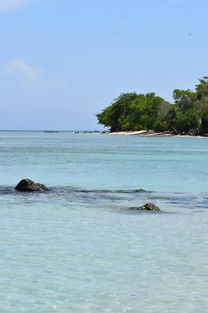 istock Swallow's Beach, Tobago, West Indies 1540587927