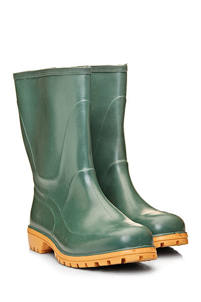 istock Studio shot of a green rubber boots 154059314