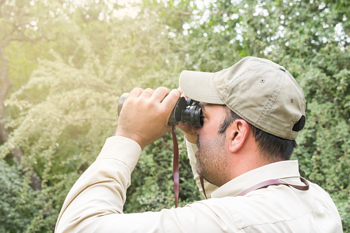 Forest Ranger uses binoculars to watch for forest fires or the presence of furtive hunters during sunset time.
