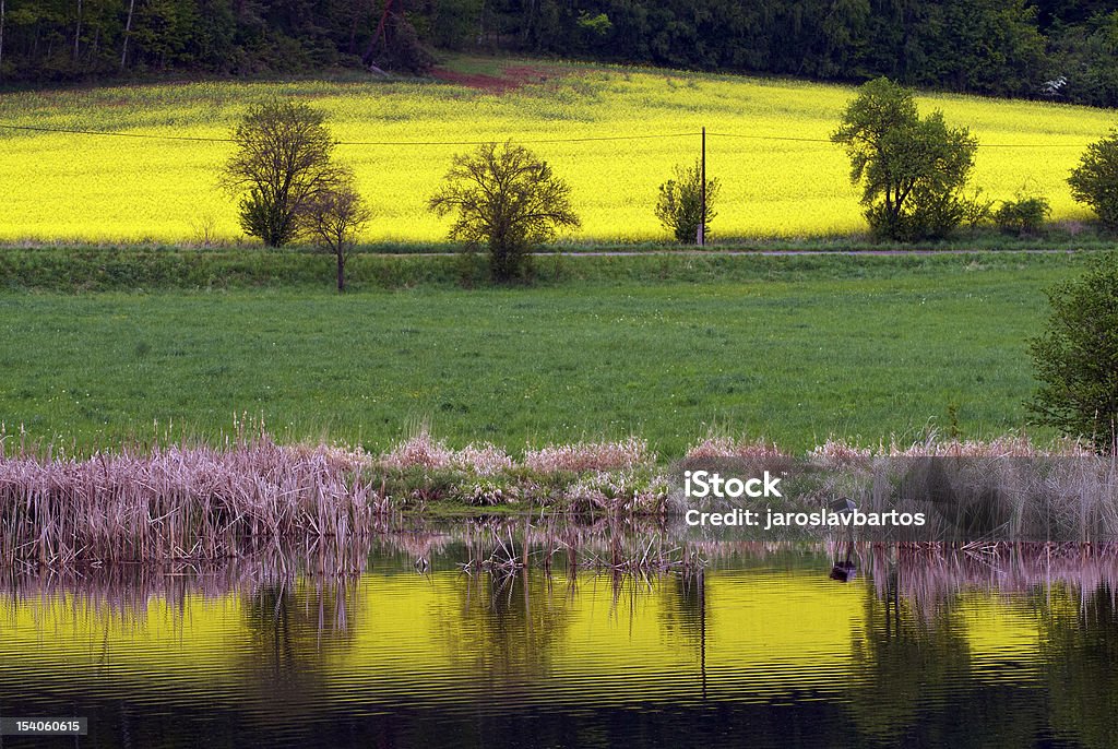 Paisaje de primavera-campos y meadows - Foto de stock de Agricultura libre de derechos