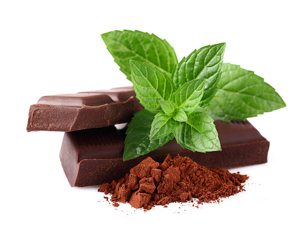 Chocolate with mint stock photo
