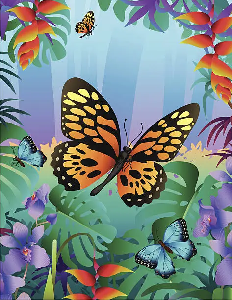 Vector illustration of tropical butterflies