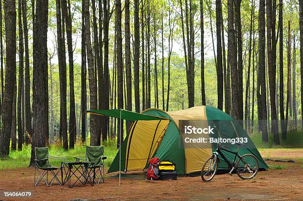 Camping In Pine Forest Stock Photo - Download Image Now - Camping, Bicycle, Camping Chair