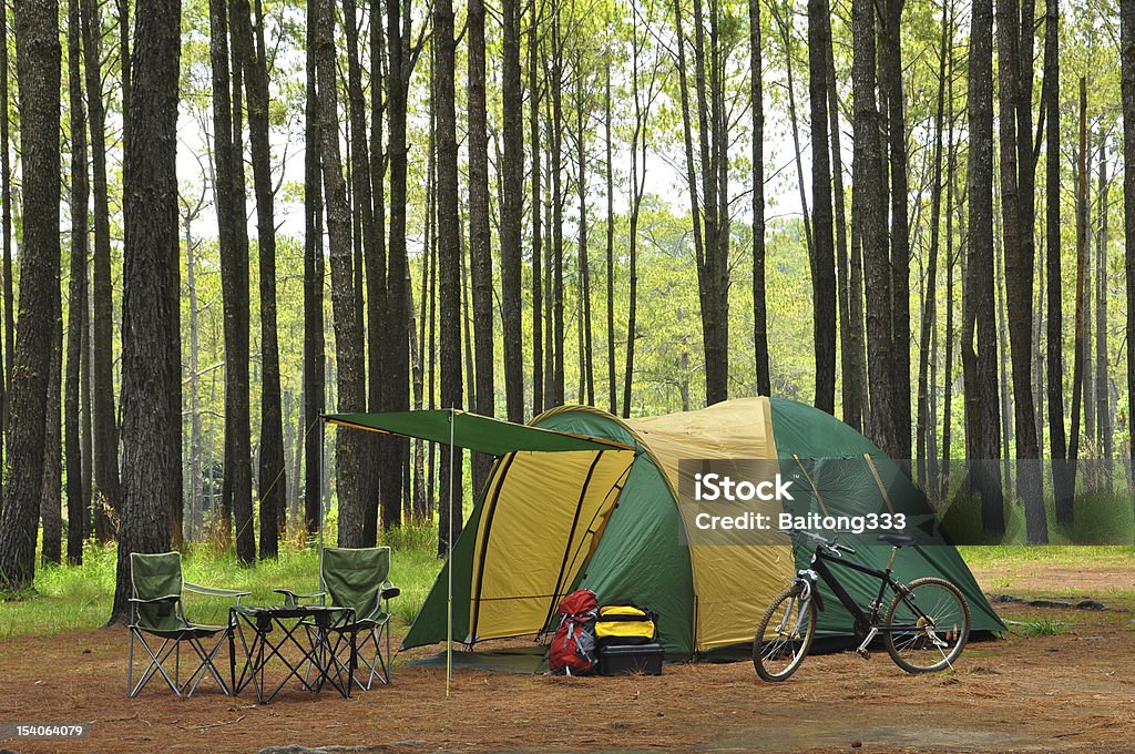 Кемпинг в сосновый лес - Стоковые фото Кемпинг роялти-фри