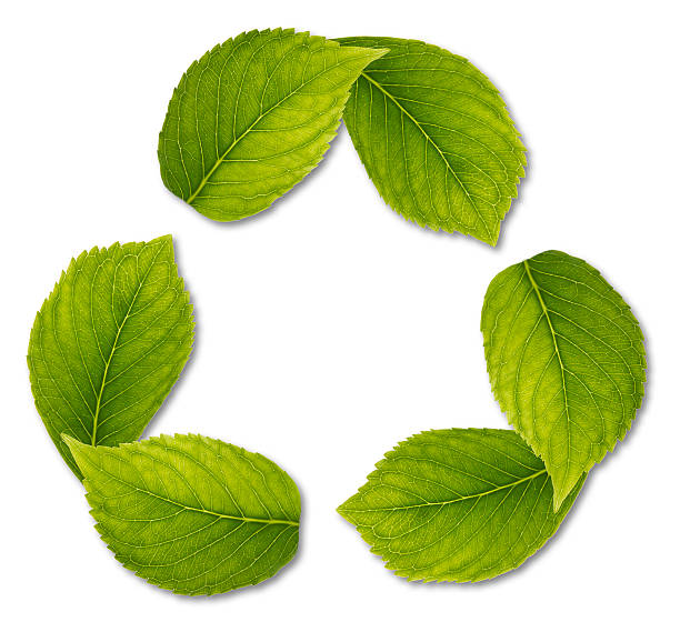 istock recycling symbol made of leaves 154066038