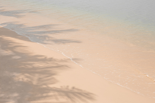Tropical sea calm background. On the seashore on white sand shadows from coconut palms. Rest and relaxation.