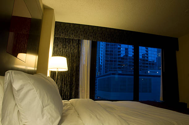 View of Chicago from Hotel Room