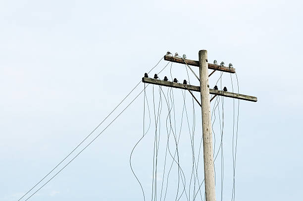 istock End of the Lines 154066961
