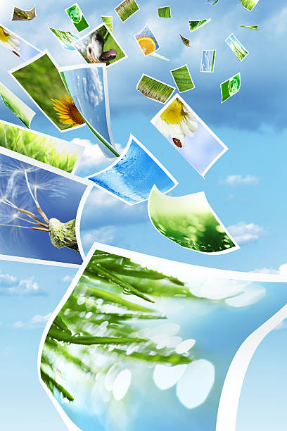 istock Photos flying throught the air 154067108