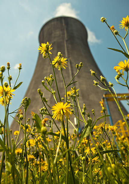 Flowers and Power Plant (Cooling Tower) stock photo