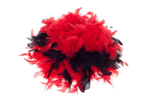 istock wig made ​​of feathers 154077011
