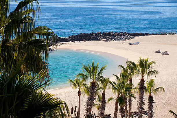 istock Beach in Cabo San Lucas, Mexico 154078441