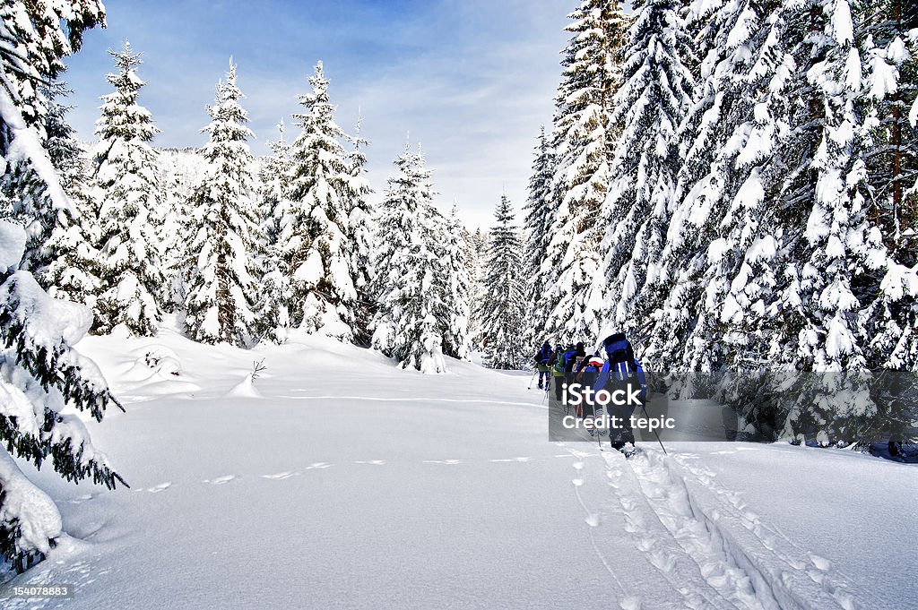 Raqueta para la nieve excursionismo a través del bosque - Foto de stock de Raqueta para la nieve libre de derechos