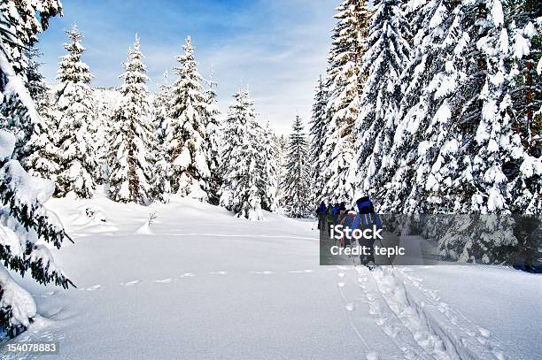 Racchetta Da Neve Escursioni Attraverso La Foresta - Fotografie stock e altre immagini di Racchetta da neve - Attrezzatura sportiva - Racchetta da neve - Attrezzatura sportiva, Escursionismo, Racchetta da neve - Sport invernale