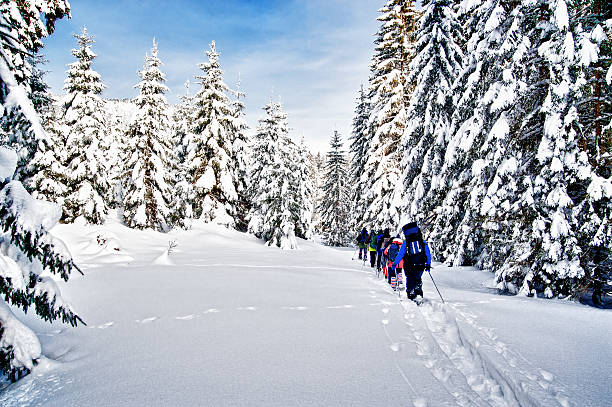 Snowshoe Hiking through Forest Group of snowshoe hiker in winter forest snow hiking stock pictures, royalty-free photos & images