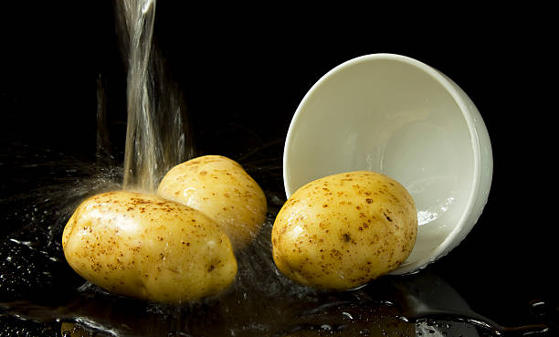 Potatoes stock photo