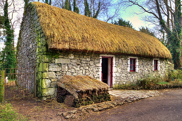 vecchio cottage house - republic of ireland irish culture cottage door foto e immagini stock