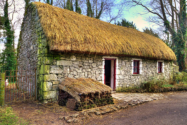 古いコテージハウス - republic of ireland irish culture cottage door ストックフォトと画像