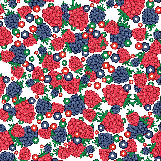 texture of raspberries and blackberries vector art illustration